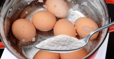 Хозяйка со стажем рассказала, что нужно добавить в воду при варке свежих яиц, чтобы потом не маяться с очисткой - skuke.net