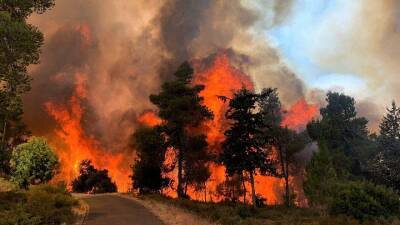 В Колорадо объявили ЧС из-за природных пожаров - trend.az - США - шт. Колорадо - USA