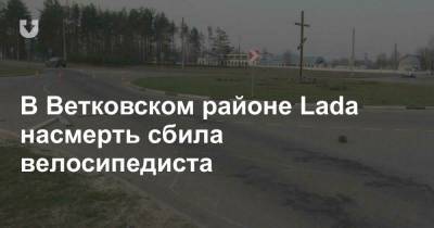 В Ветковском районе Lada насмерть сбила велосипедиста - news.tut.by - район Ветковский