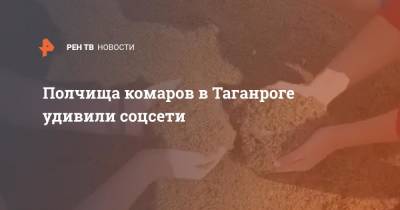 Алексей Тихонов - Полчища комаров в Таганроге удивили соцсети - ren.tv - Таганрог