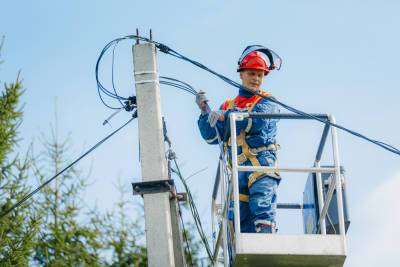 Тверские энергетики «Россети Центр» получили благодарность за улучшение электроснабжения деревни Долматово - afanasy.biz