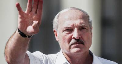 Александр Лукашенко - Аграрный диктатор: Лукашенко хочет "мобилизовать всех" для сбора урожая - dsnews.ua - Россия - Китай - Украина - Белоруссия