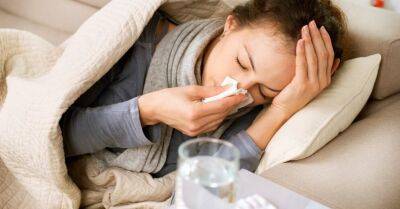 Завадска: этой зимой меня больше беспокоит заболеваемость гриппом, а не Covid-19 - rus.delfi.lv - Австралия - Новая Зеландия - Латвия - Юта - Covid-19