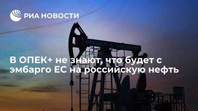 Владимир Путин - Абдель Азиз - Саудовский министр: ОПЕК+ не знает, что будет с эмбарго на российскую нефть и потолком цен - smartmoney.one - Россия - Саудовская Аравия - Чехия - Европа