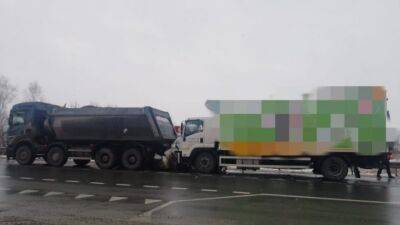 В Новосибирской области «тойоту» смяло между двумя грузовиками, погибли два человека - usedcars.ru - Россия - Новосибирская обл. - Обь