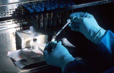 Медики ожидают в Европе «эпидемию» рака - koronavirus.center - Россия