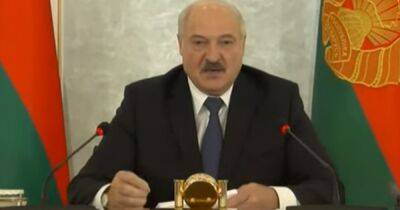 Владимир Зеленский - Александр Лукашенко - Лукашенко заявил, что Путин не получит выгоды от белорусской армии в Украине - dsnews.ua - Россия - Украина - Белоруссия