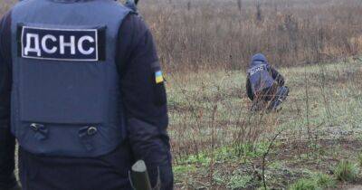 На Николаевщине на мине подорвались спасатели, один погиб - dsnews.ua - Россия - Украина - Николаевская обл.
