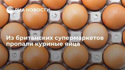 Блумберг: Британия испытывает дефицит яиц, которые пропали с полок некоторых магазинов - smartmoney.one - США - Англия - Венгрия - Европа - Великобритания