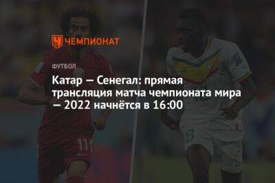 Катар — Сенегал: прямая трансляция матча чемпионата мира — 2022 начнётся в 16:00 - championat.com - Россия - Южная Корея - Япония - Эквадор - Катар - Сенегал