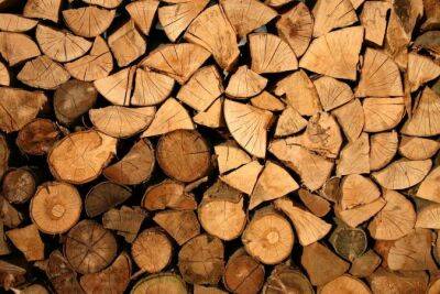Денис Шмыгаль - Украина запретила экспорт топливной древесины - minfin.com.ua - Россия - США - Украина - Германия - Франция - Чехия - Корея