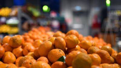 В Узбекистане резко упали цены на мандарины - podrobno.uz - Узбекистан - Пакистан - Ташкент