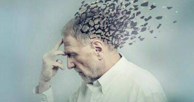 Крис Хемсворт - Болезнь Альцгеймера: ученые рассказали, как снизить риск появления опасного заболевания мозга - focus.ua - Украина - Австралия