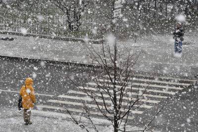 Мешканців одного з регіонів України попереджають про сильний снігопад - vchaspik.ua - Украина