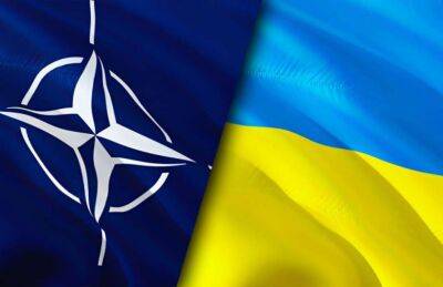 Єнс Столтенберг - У НАТО заявили, що Путін програє війну в Україні - lenta.ua - Україна - Росія