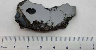В 17-тонном метеорите ученые обнаружили 2 новых неизвестных на Земле минерала - focus.ua - Украина - Канада - Сомали