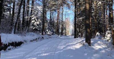 Зимняя сказка повышает самооценку: ученые нашли неожиданную пользу снежных пейзажей - focus.ua - Украина - Польша