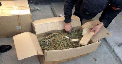 В Узбекистане пресекли ввоз 30 кг наркотиков из Таджикистана - dialog.tj - Узбекистан - Таджикистан - Ташкент - Наманганская обл.