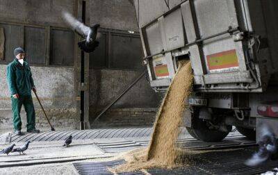 "Шляхи солідарності": експорт українського зерна через Польщу зріс на 50% - rbc.ua - Україна - місто Москва - Польща - Reuters - Культура