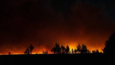 В Аргентине не удаётся взять под контроль лесные пожары - ru.euronews.com - Россия - Аргентина