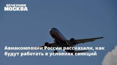 Владимир Путин - Авиакомпании России рассказали, как будут работать в условиях санкций - vm - Россия - Киев - Египет - Турция - ДНР - Болгария - Кипр - Будапешт - ЛНР - Эмираты - Ирландия