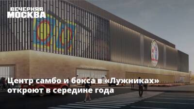 Андрей Бочкарев - Центр самбо и бокса в «Лужниках» откроют в середине года - vm - Москва - Строительство