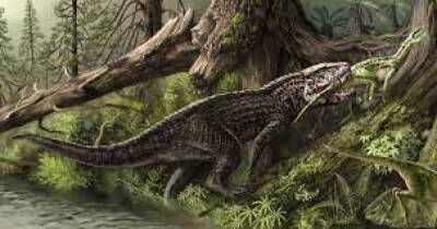 Массовые пожары и эрозия почвы привели к началу царства динозавров, — ученые - focus.ua - Украина - штат Вашингтон