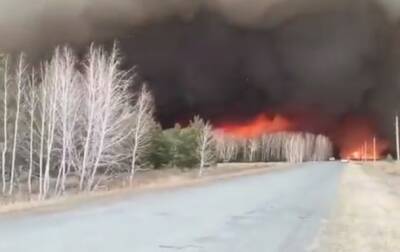 В России некому тушить лесные пожары - korrespondent - Россия - Украина - Сибирь