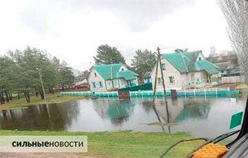 Гомельскую область Беларуси затопило после недавних ливней - charter97.org - Белоруссия - Гомель - Гомельская обл. - район Добрушский