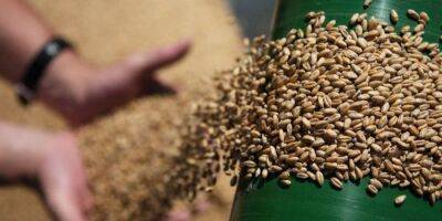 Еврокомиссия поможет Украине экспортировать сельскохозяйственную продукцию - biz.nv.ua - Россия - Украина