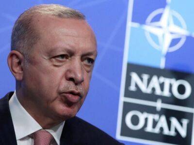 Владимир Зеленский - Реджеп Тайип Эрдоган - Эрдоган заявил, что Турция против вступления Финляндии и Швеции в НАТО - unn.com.ua - Украина - Киев - Турция - Швеция - Финляндия