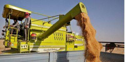 Продукты будут дорожать. Индия внезапно запретила экспорт пшеницы - biz.nv.ua - Россия - Украина - Индия