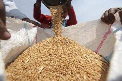 Индия запретила экспорт пшеницы для обеспечения продовольственной безопасности страны - smartmoney.one - Россия - США - Украина - Индия - Reuters
