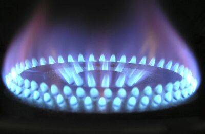 СМИ: ЕК планирует установить верхний предел цены на газ в случае прекращения поставок из РФ - ont.by - Россия - Белоруссия - Газ