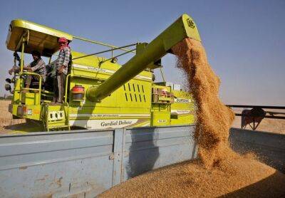 Индия вводит запрет на экспорт пшеницы из-за роста цен - unn.com.ua - Украина - Киев - Индия
