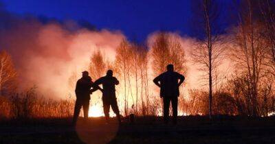 В Сибири сгорели 19 населенных пунктов и тысячи гектаров леса - focus.ua - Россия - Украина - Красноярск - Сибирь