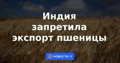 Индия запретила экспорт пшеницы - smartmoney.one - Россия - Украина - Индия