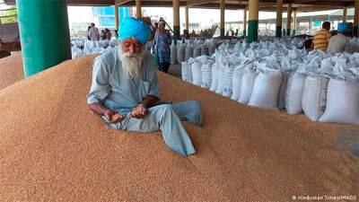 Индия ввела запрет на экспорт пшеницы - bin.ua - Россия - Украина - Индия - Нью-Дели - Reuters