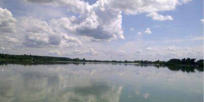 Для сохранения биоразнообразия. Два Киевских озера получили статус ландшафтных заказников - nv.ua - Россия - Украина - Киев - район Дарницкий - Киев