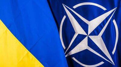 Евгений Медведев - Кристина Квин - Швеция - Украина может вступить в НАТО, как Финляндия и Швеция - lenta.ua - Россия - США - Украина - Швеция - Финляндия