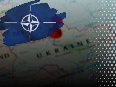 Україна також може вступити до НАТО без ПДЧ – глава посольства США - bykvu.com - США - Украина - Україна - Twitter - Facebook