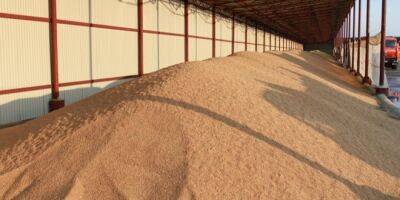 25 млн тонн зерна застряли в Украине из-за войны — ООН - biz.nv.ua - Россия - Украина - Польша - Мариуполь