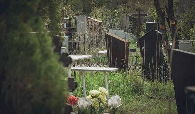 Ишимское кладбище разгромил лось-вандал - nashgorod.ru