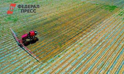 Владимир Владимирович Путин - Путин пообещал поставить на мировой рынок более 50 млн тонн зерна - smartmoney.one - Москва - Россия - Белоруссия - Москва