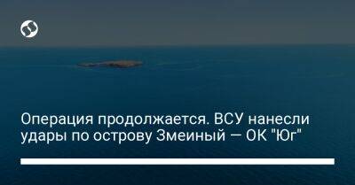 Операция продолжается. ВСУ нанесли удары по острову Змеиный — ОК "Юг" - liga.net - Россия - Украина