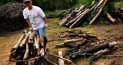 Чиновники призывают жителей Украины запасаться дровами - cxid.info - Украина