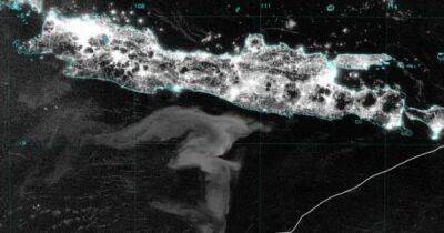Учені вперше зробили знімок таємничого "молочного моря" в океані: що це таке - focus.ua - США - Украина - шт. Колорадо