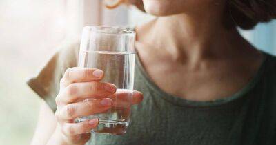 Миф или правда. Ученые рассказали, действительно ли нужно пить 8 стаканов воды в день - focus.ua - США - Украина - шт. Аризона