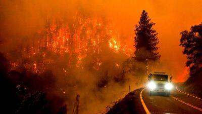Калифорния: пожар "Маккинни" стал крупнейшим в штате в этом году - ru.euronews.com - шт. Калифорния