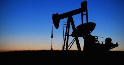 "Большая семерка" все еще хочет установить потолок цен на российскую нефть: заявление министров - dsnews.ua - Россия - Китай - США - Украина